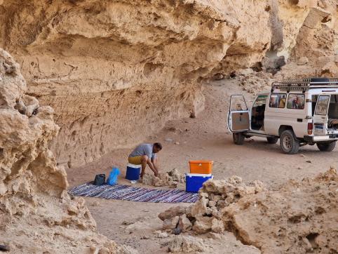 Emperor Desert Safaris Hurghada