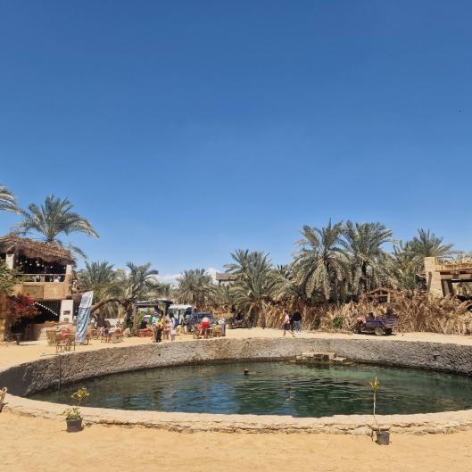 Abseits des Massentourismus organisieren wir für Sie unvergessliche Ausflüge – zu den Pyramiden von Gizeh, Alexandria, Assuan, nach Luxor, maßgeschneiderte Wüstentouren bis hin zu versteckten Oasen. 