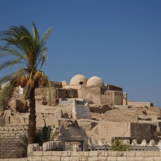 Abseits des Massentourismus organisieren wir für Sie unvergessliche Ausflüge – zu den Pyramiden von Gizeh, Alexandria, Assuan, nach Luxor, maßgeschneiderte Wüstentouren bis hin zu versteckten Oasen. 