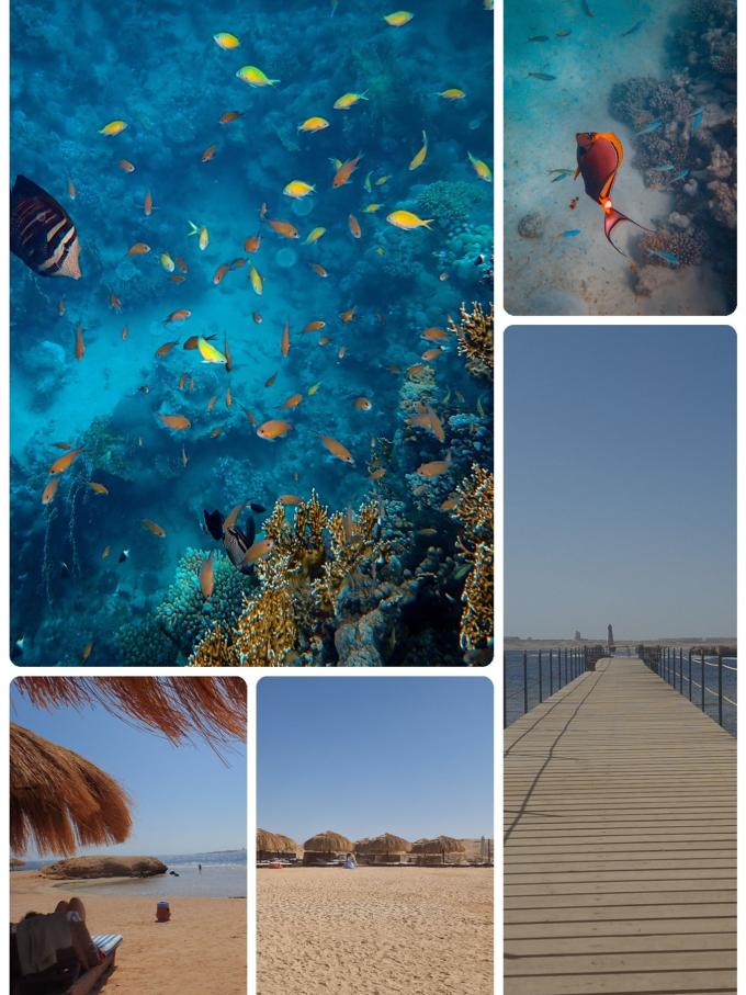Sharm El Naga
